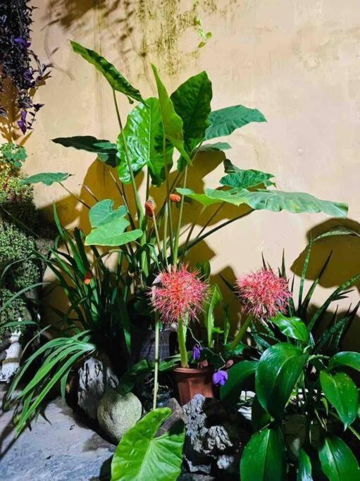 T30 Homestay, Near Lotte Tay Ho, 25minutes To The Airport Hanoi