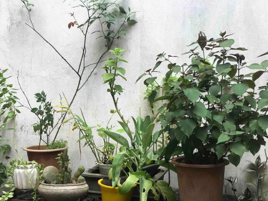 T30 Homestay, Near Lotte Tay Ho, 25minutes To The Airport